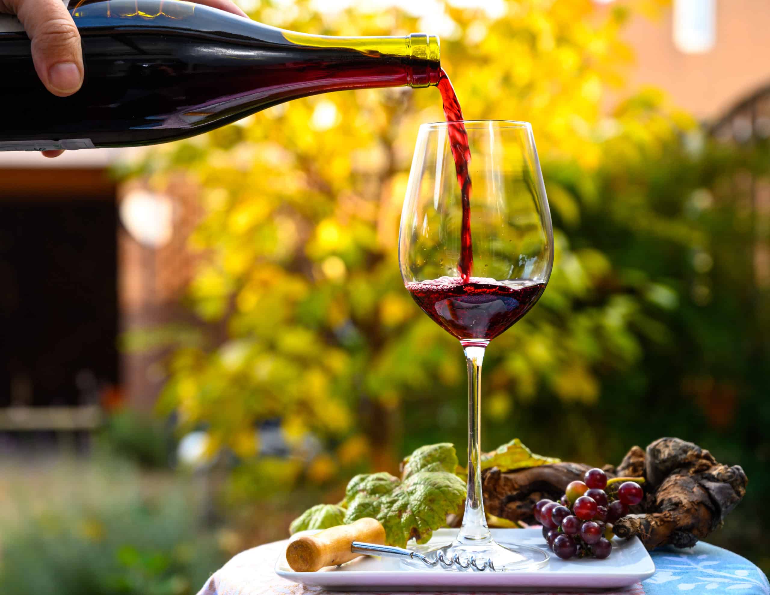 Beaujolais wine in glass