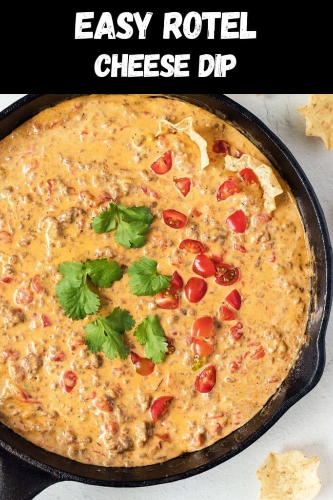 Pinterest graphic for rotel chip dip.
