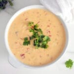 White bowl of Salsa con queso topped with cilantro.